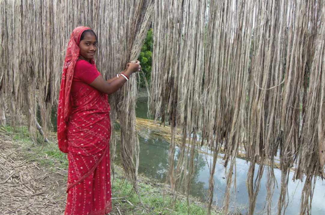 Jute and its economic and Environmental benefits part 2 Jutebar